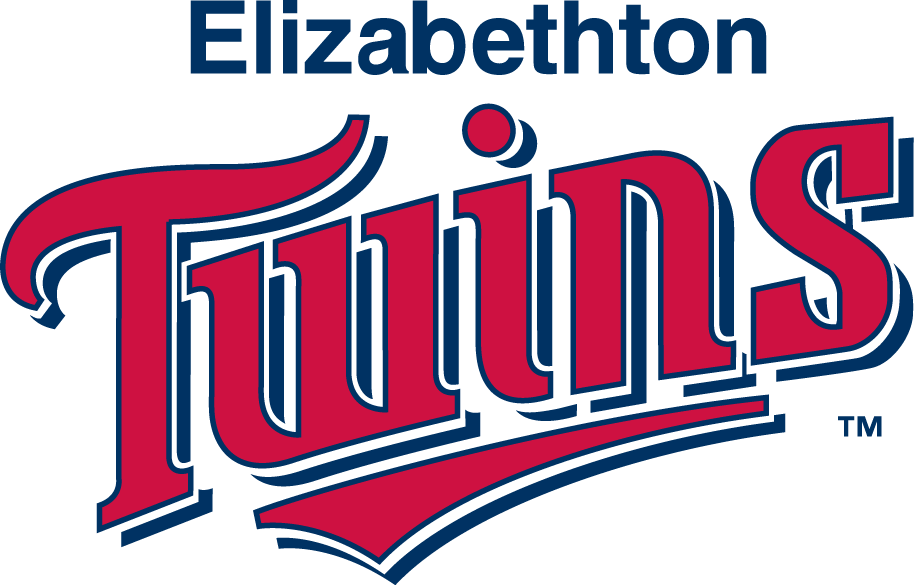 Elizabethton Twins 1987-Pres Wordmark Logo iron on paper